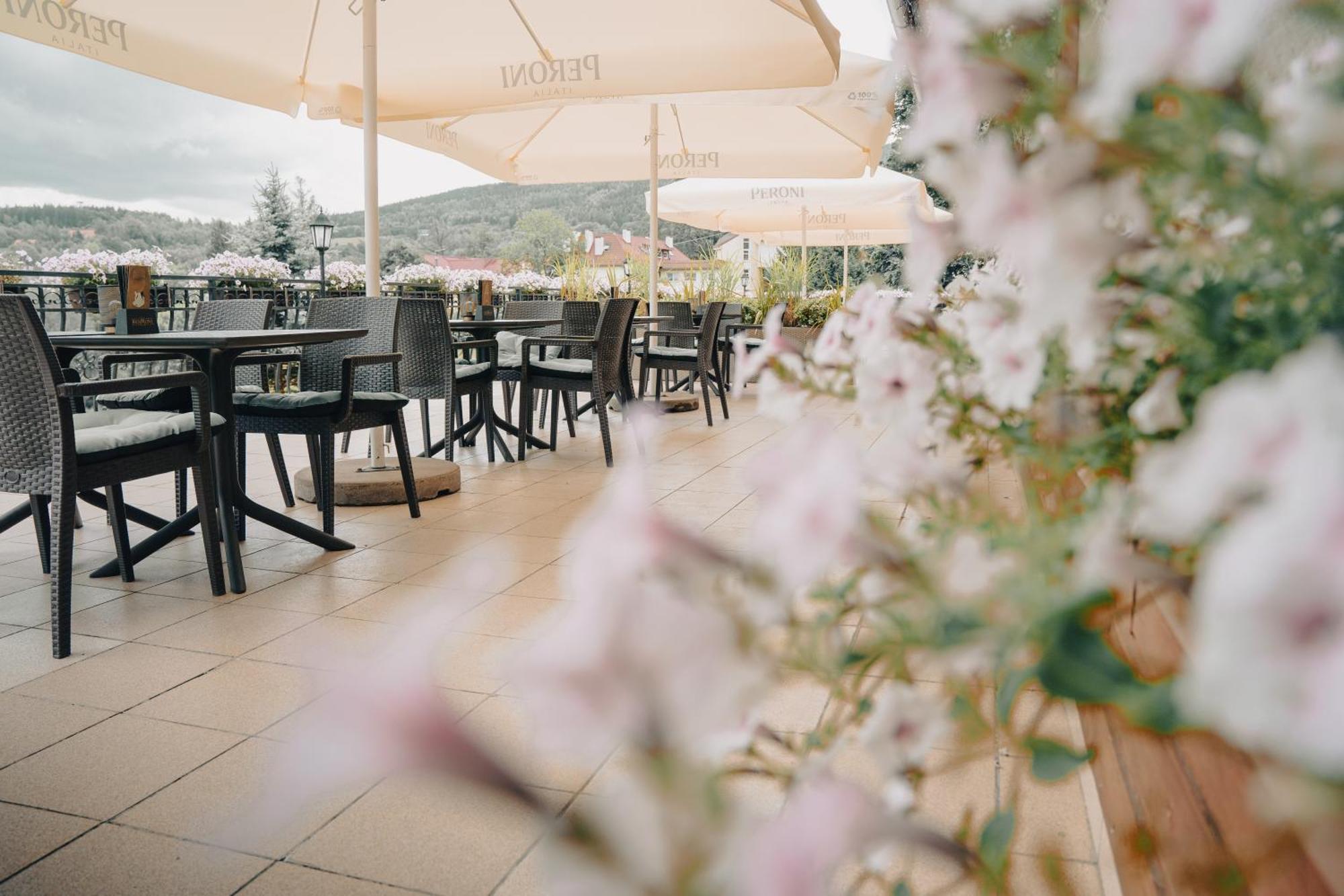Hotel Le Mont Medical & Spa Świeradów-Zdrój Esterno foto
